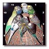 Parakeet - 10x10 Wall Clock