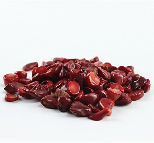 Hozoyo 1 Lb Natural Red Coral Stone Chips for Home Decor