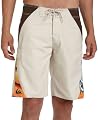 Quiksilver Young Men's Avalanche Boardshort