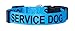 Native Pup Service Dog Collars (Small, Blue)