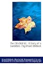 The 13th District : A Story of a Candidate / by Brand Whitlock