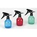 Whitney Design Spray Bottle