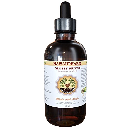 Hawaii PharmGlossy Privet (Ligustrum Lucidum) Liquid Extract 4 oz