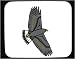 Decorated Mouse Pad with flying, soaring, hawk, wings, bird