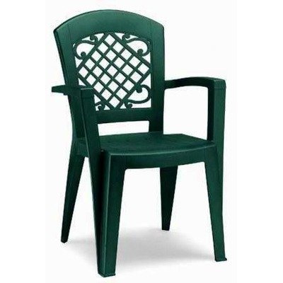 Juliette High Back Dining Armchair Finish: Forest Green