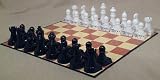 Chess Teacher Instructional Chess Set