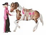 Lets Go Riding - Western Collectible Set