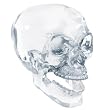 Crystal Skulls - Crystal Skull w/ Movable Jaw - Cold Cast Resin - 4.75" Height