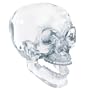 Crystal Skull - Collectible Figurine Statue Sculpture Figure Skeleton