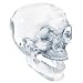 Crystal Skull - Collectible Figurine Statue Sculpture Figure Skeleton