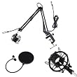 Broadcasting Studio Microphone Arm stand with Shock Mount + 6" Dual Mic Pop Filter