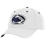 Zephyr Penn State Nittany Lions White DHS Fitted Hat