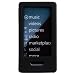 CTA Digital Skin Case with Armband for Zune HD Player (Black)