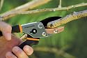 Fiskars Traditional Anvil Pruner #9129