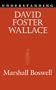 Understanding David Foster Wallace