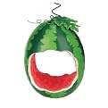 Watermelon Bird Feeder