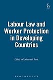 Labour law and worker protection in developing countries