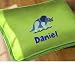 Dinosaurland Personalized Floor Pillow