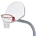MacGregor Extra-Tough Playground Systems with Double Rim and 4 feet Extension Painted Backboard