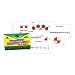 Fraction Number Line Flash Cards