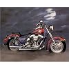 Ron Kimball (1986 FXR Harley Davidson) Photo Print Poster - 13x19