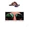 Have A Fundamental Doobie Brothers Collection