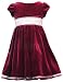 Rare Editions Girls 2-6x Lace Inset Velvet Dress