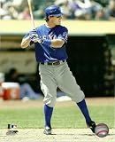 Ian Kinsler Texas Rangers Blue Jersey 8x10 Photo