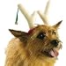 Pet Supplies : PP01763 Reindeer Antlers - LARGE