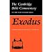 Exodus (Cambridge Bible Commentaries on the Old Testament)