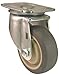 E.R. Wagner 274-3F08B4B560001AM 4X1-.25 Vulcan Am Plateswivel Caster