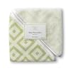SwaddleDesigns Terry Velour Baby Washcloth Set - Very Light Kiwi with Kiwi Mod Squares