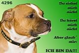 Metall - Warnschild Staffordshire Terrier