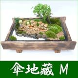 �y�������z�~�́E�~�i �P�n��(M)