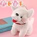 アニメ「君に届け」マルちゃんプチぬいぐるみボールチェーン