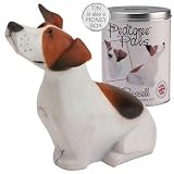 My Pedigree Pals Figurine in Money Box Tin - Jack Russell