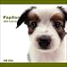 2009 Papillon ARTLIST Square Wall Calendar (Multilingual Edition)
