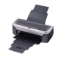 Epson Stylus Photo 2100 - Printer - colour - ink-jet - Super A3/B, A3 Plus - 2880 dpi x 1440 dpi - up to 7.4 ppm (mono) / up to 7.3 ppm (colour) - capacity: 100 sheets - IEEE1394 FireWire, parallel, USB