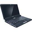 Lenovo IdeaPad S10E Netbook 41874KU