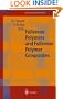 Fullerene Polymers and Fullerene Polymer Composites (Springer Series in Materials Science)
