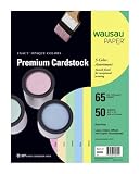 Wausau Exact Multipurpose 65 lb. Heavy Weight Card Stock #32894 Assorted Pastel Colored Paper 50 count 8.5in x 11in, 10 Sheets of Each Color Yellow, Blue, Green , Ivory, Pink.