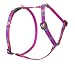 Lupine Small Dog Roman Style Harness - Wing It Pattern - 12- 20