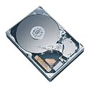 Western Digital 1600AAJS 160 GB 8,9 cm (3,5 Zoll) interne Festplatte SATA II 7200RPM 8MB Cache