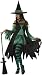 Adult Witch Costume