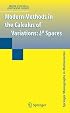 Modern Methods in the Calculus of Variations: L^p Spaces (Springer Monographs in Mathematics)
