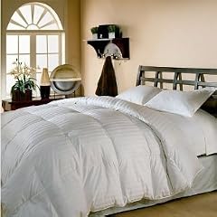 650fp 8 Pieces Egyptian Cotton Queen Goose Down Com
