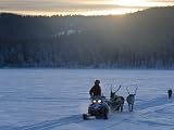 Winter Landscape, Reindeer and Snowmobile, Jokkmokk, Sweden Photographic Poster Print by Peter Adams, 30x40