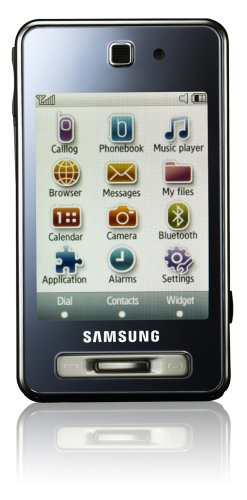 Samsung SGH-F480 Unlocked Cell Phone - International Version with No U.S Warranty (Ice Silver)