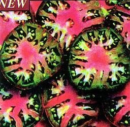Black Sea Man Tomato 20 Seeds - Heirloom