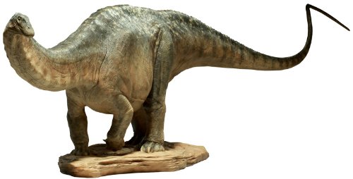 Dinosauria - Maquette: Apatosaurus